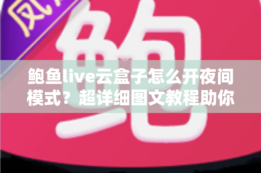鲍鱼live云盒子怎么开夜间模式?超详细图文教程助你轻松开启护眼深色模式 鲍鱼live云盒子怎么开夜间模式?超详细图文教程助你轻松开启护眼深色模式