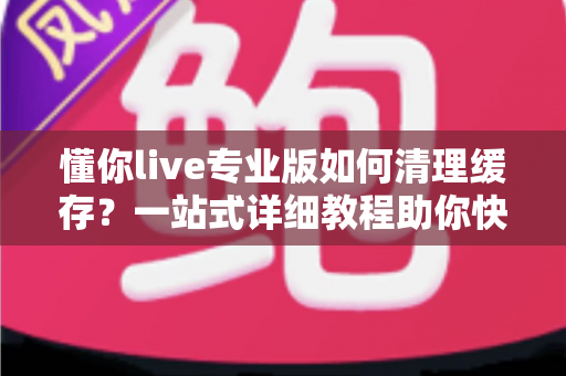 懂你live专业版如何清理缓存？一站式详细教程助你快速释放存储空间、提升直播流畅度