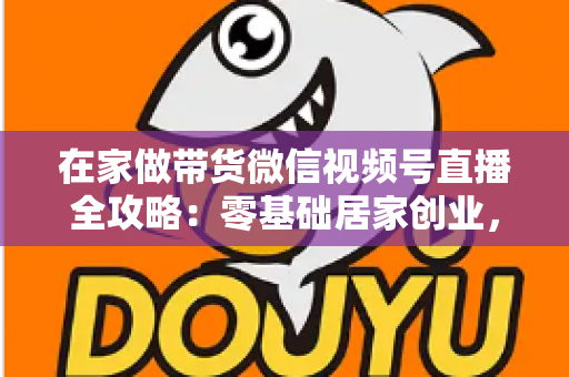 在家做带货微信视频号直播全攻略：零基础居家创业，一部手机开启副业变现之路