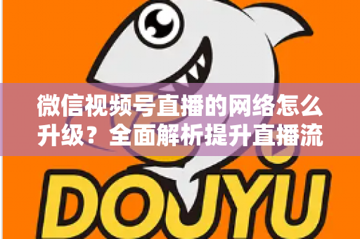 微信视频号直播的网络怎么升级？全面解析提升直播流畅度的实用方法