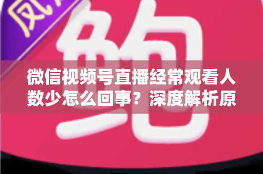 微信视频号直播经常观看人数少怎么回事？深度解析原因与提升观看量的实用指南