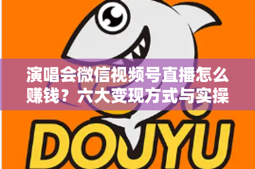 演唱会微信视频号直播怎么赚钱?六大变现方式与实操指南全面解析 演唱会微信视频号直播怎么赚钱?六大变现方式与实操指南全面解析