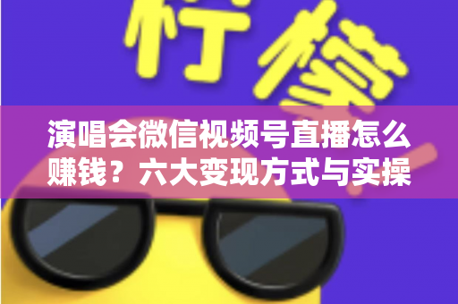 演唱会微信视频号直播怎么赚钱？六大变现方式与实操指南全面解析