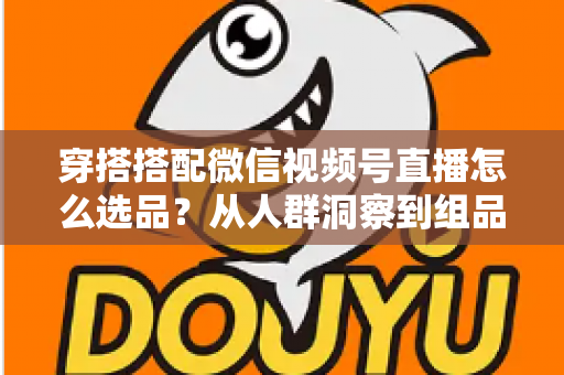 穿搭搭配微信视频号直播怎么选品?从人群洞察到组品策略的高转化选品全指南 穿搭搭配微信视频号直播怎么选品?从人群洞察到组品策略的高转化选品全指南