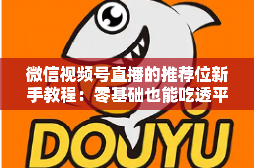 微信视频号直播的推荐位新手教程:零基础也能吃透平台流量的实战指南 微信视频号直播的推荐位新手教程:零基础也能吃透平台流量的实战指南