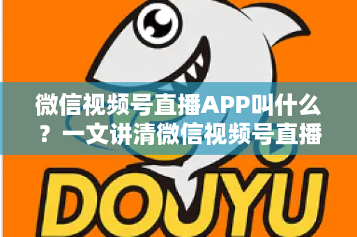 微信视频号直播APP叫什么?一文讲清微信视频号直播的入口、功能与使用方法 微信视频号直播APP叫什么?一文讲清微信视频号直播的入口、功能与使用方法
