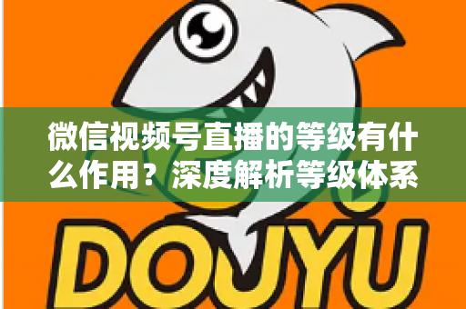 微信视频号直播的等级有什么作用？深度解析等级体系的价值、玩法与提升全攻略