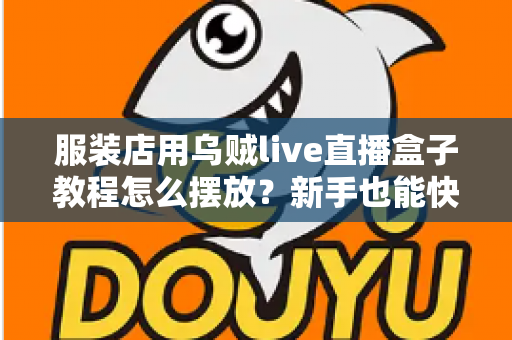 服装店用乌贼live直播盒子教程怎么摆放？新手也能快速上手的完整摆放指南