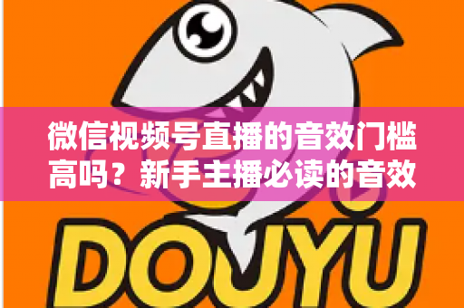 微信视频号直播的音效门槛高吗?新手主播必读的音效要求与低成本优化全攻略 微信视频号直播的音效门槛高吗?新手主播必读的音效要求与低成本优化全攻略