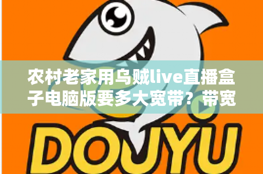 农村老家用乌贼live直播盒子电脑版要多大宽带？带宽选择全攻略与实用避坑指南