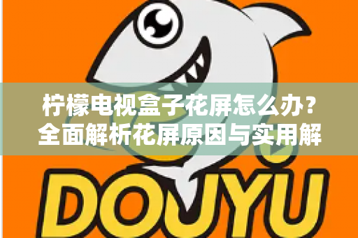 柠檬电视盒子花屏怎么办?全面解析花屏原因与实用解决方案指南 柠檬电视盒子花屏怎么办?全面解析花屏原因与实用解决方案指南